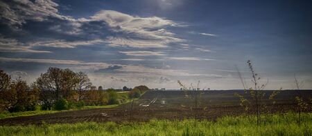 agrarian field in the spring after rainの写真素材