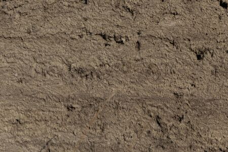 the old cracked clay wall of the house is dried up in the sunの写真素材