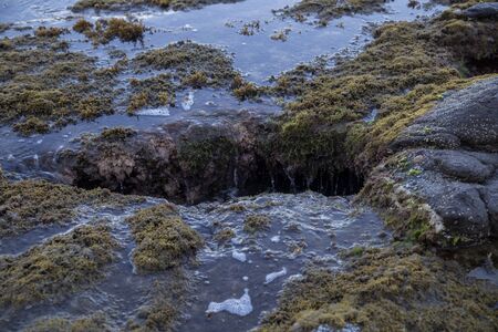 rocky shore with a large hole covered with algae washed by the salty waters of the Mediterranean Seaの写真素材