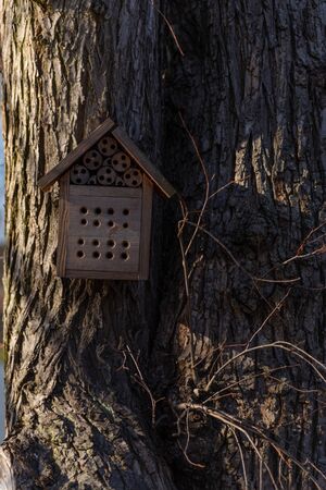 wooden bird feeder on a large tree in early springの写真素材