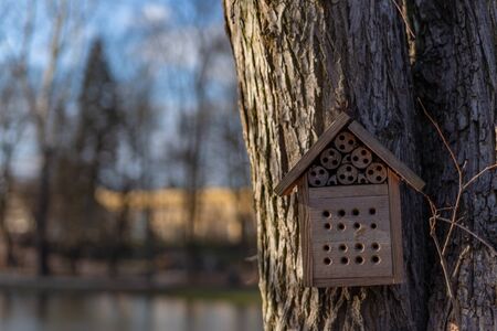 wooden bird feeder on a large tree in early springの写真素材
