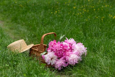 wicker basket with pink peonies and straw hat in the middle of a lawn with green grass in the park on a sunny dayの写真素材