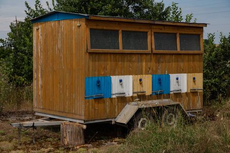 wooden colored hive on wheels with honey bees on a sunny day
