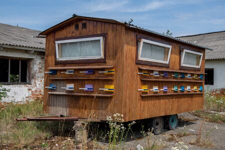 wooden colored hive on wheels with honey bees on a sunny day