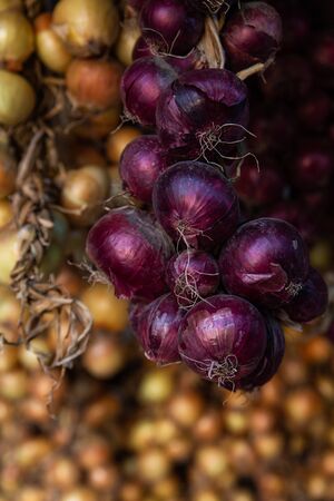 braid onion hanging and dryの写真素材