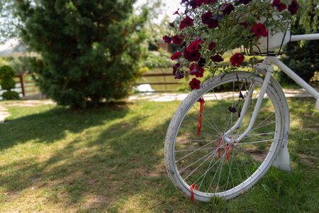 vintage bicycle scenery painted whiteの写真素材