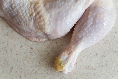 fresh chicken leg isolated on light backgroundの写真素材