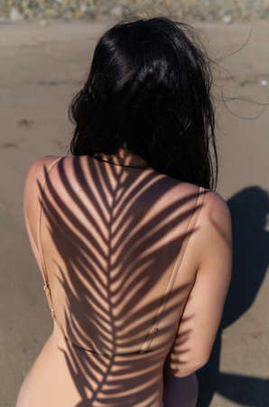 shadow of a palm leaf on the back of a girlの写真素材