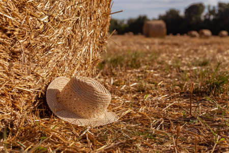 straw hat on a background of wheat straw