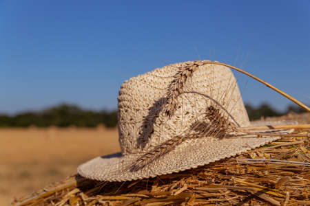 straw hat with ears of wheat on a bale on a background of an agricultural fieldの写真素材