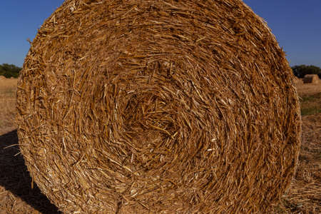 straw bales on an agricultural field backgroundの写真素材