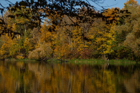 beautiful autumn landscape with a view of the lake from behind the treesの写真素材