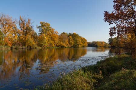 autumn landscape, trees with autumn golden leaves and blue sky reflected in the water, Wilanow Park Poland, a tributary of the Vistula Riverの写真素材
