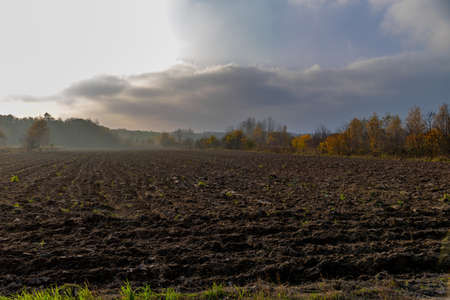 plowed field at sunset before winterの写真素材