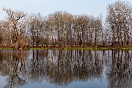 autumn landscape of trees without leaves reflected in the water on a background of blue skyの写真素材