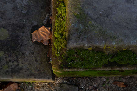 top view of a concrete corner of a support covered with mossの写真素材