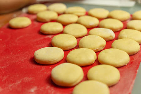 circles of dough cut on a silicone dough matの写真素材