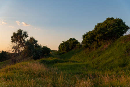 view of the hills covered with grass and bushes at sunset