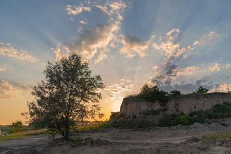 incredible sunset landscape behind a tree and a hillの写真素材