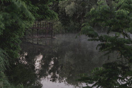morning fog on the lake in the morning at sunrise the trees are reflected in the waterの写真素材