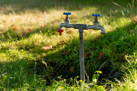 system with taps for watering in the gardenの写真素材