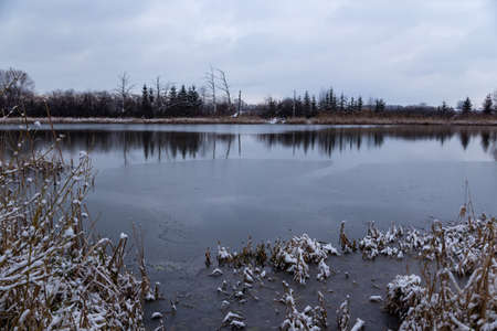 beautiful winter landscape with a view of snow-covered trees and a lakeの写真素材
