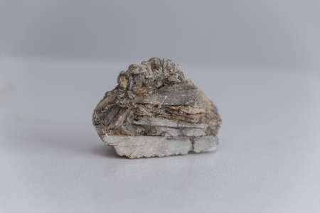 rock close up on a white backgroundの写真素材