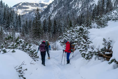 Tatra Mountains, Winter mountain landscape in the Tatras, tourists climb the snowy slopes, views of the snow-capped mountains in frosty sunny weatherの写真素材