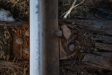 iron railway rails of Soviet models in early springの写真素材
