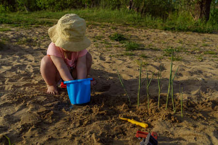 Title: little baby playing with a blue plastic bucket filled with water on a background of sand, a child with bare feet pours water from a bucket learns something new fun childhood in the summer on vaの写真素材