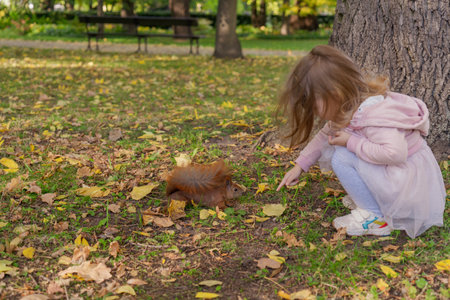 a little girl feeds a squirrel with peanuts from her hand a girl in a pink skirt and blouse around fallen yellow leaves on green grassの写真素材