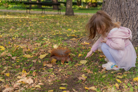 a little girl feeds a squirrel with peanuts from her hand a girl in a pink skirt and blouse around fallen yellow leaves on green grassの写真素材