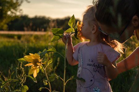 a little girl in the rays of the sun looks at sunflower flowers at sunset in the backlight in the...