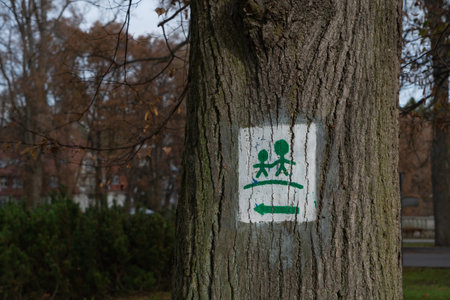 a pedestrian zone sign is painted on a treeの写真素材