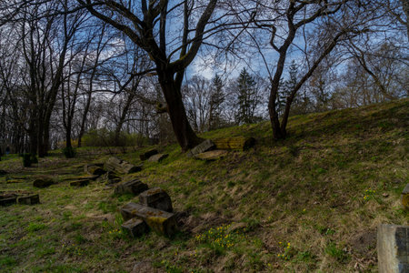 old ruined columns overgrown with moss lie on the ground in the middle of the grass columns in the...