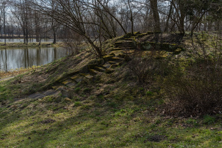 beautiful landscape with a view of the old stone ruined stairs on the hill in the park among the bushes and trees the stairs are overgrown with mossの写真素材