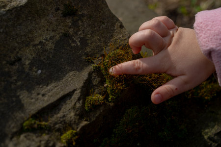 a child's hand touching moss on an old stoneの写真素材