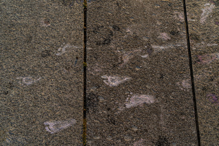 white footprints of small children's feet on concrete tilesの写真素材