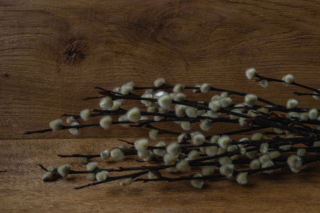 willow branches on wooden background, easter decoration, selective focusの写真素材