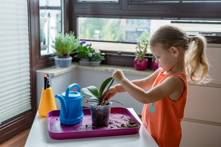 Cute little girl transplanting orchid flower into a new potの写真素材