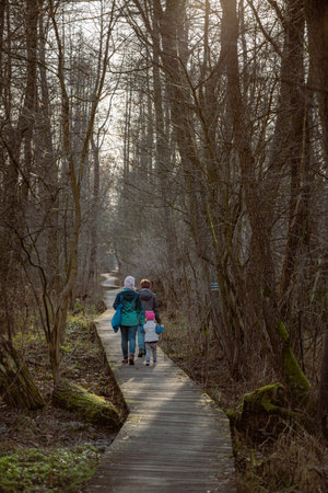 Mother and daughter walking in the forest on a trail in early springの写真素材