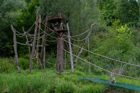 a wooden structure with ropes for monkey entertainment in the parkの写真素材