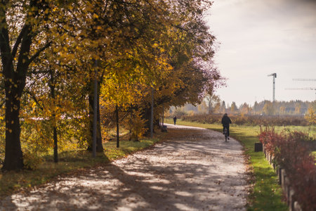 Autumnal alley in the city park. Beautiful autumn landscape.の写真素材