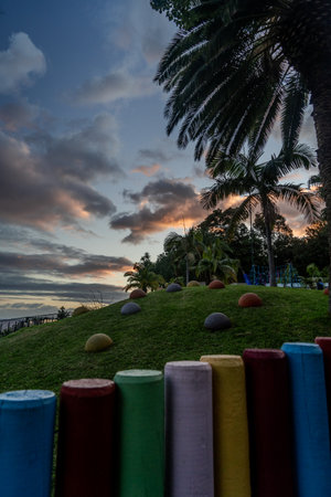 Children's playground under palm trees at sunset in Funchal, Madeira Island, Portugalの写真素材