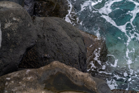 rocky coast of the sea with waves breaking on the shore, close-upの写真素材