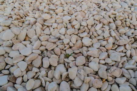 White pebble stone on the ground texture background, Thailand.