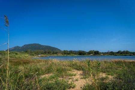 Landscape of a lake with mountains in the background and grass.の写真素材