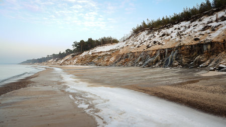 Baltic sea coast in winter. Sand dunes and trees on the shore.の写真素材