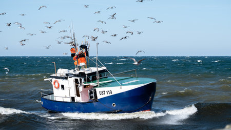 Fishing trawler and seagulls in the Baltic seaの写真素材