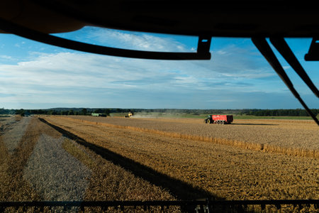 Combine harvester working on a wheat field in the summerの写真素材